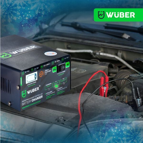 Зарядное устройство для аккумуляторов 6В и 12В 15А Wuber (Польша) 2441525118 фото