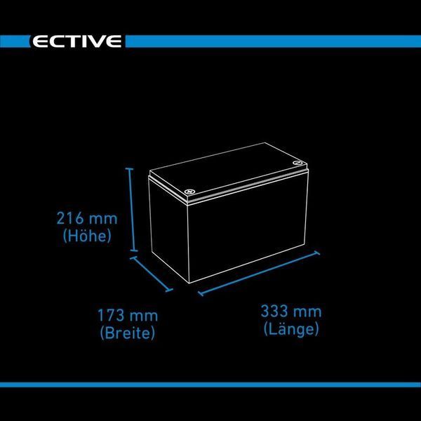 Аккумулятор AGM 12В 115Ач с экраном ECTIVE DC 115S (Германия) 2289401420 фото